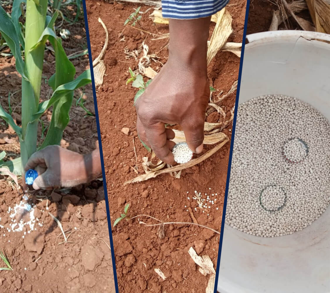 La nouvelle application Web pour calculer les taux d'application des points d'engrais