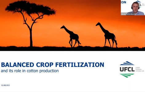 Fertilisation équilibrée des cultures et production de coton en Zambie