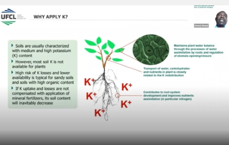 Série de formation sur la fertilisation équilibrée des cultures