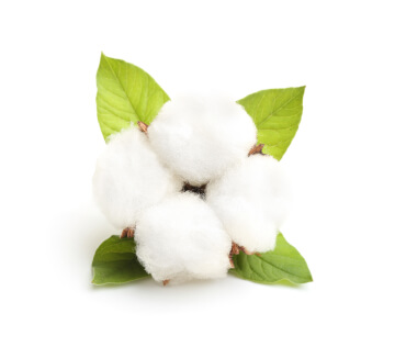 Cotton