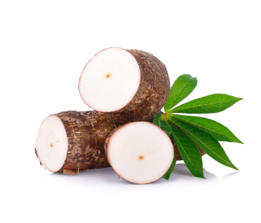 Manioc