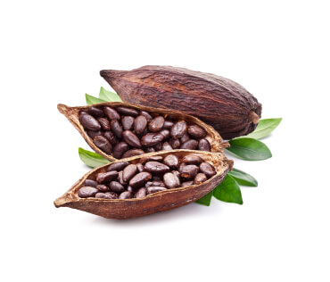 Cacao