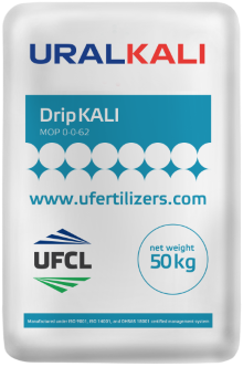 DripKALI (MOP 0-0-62 for irrigation systems)